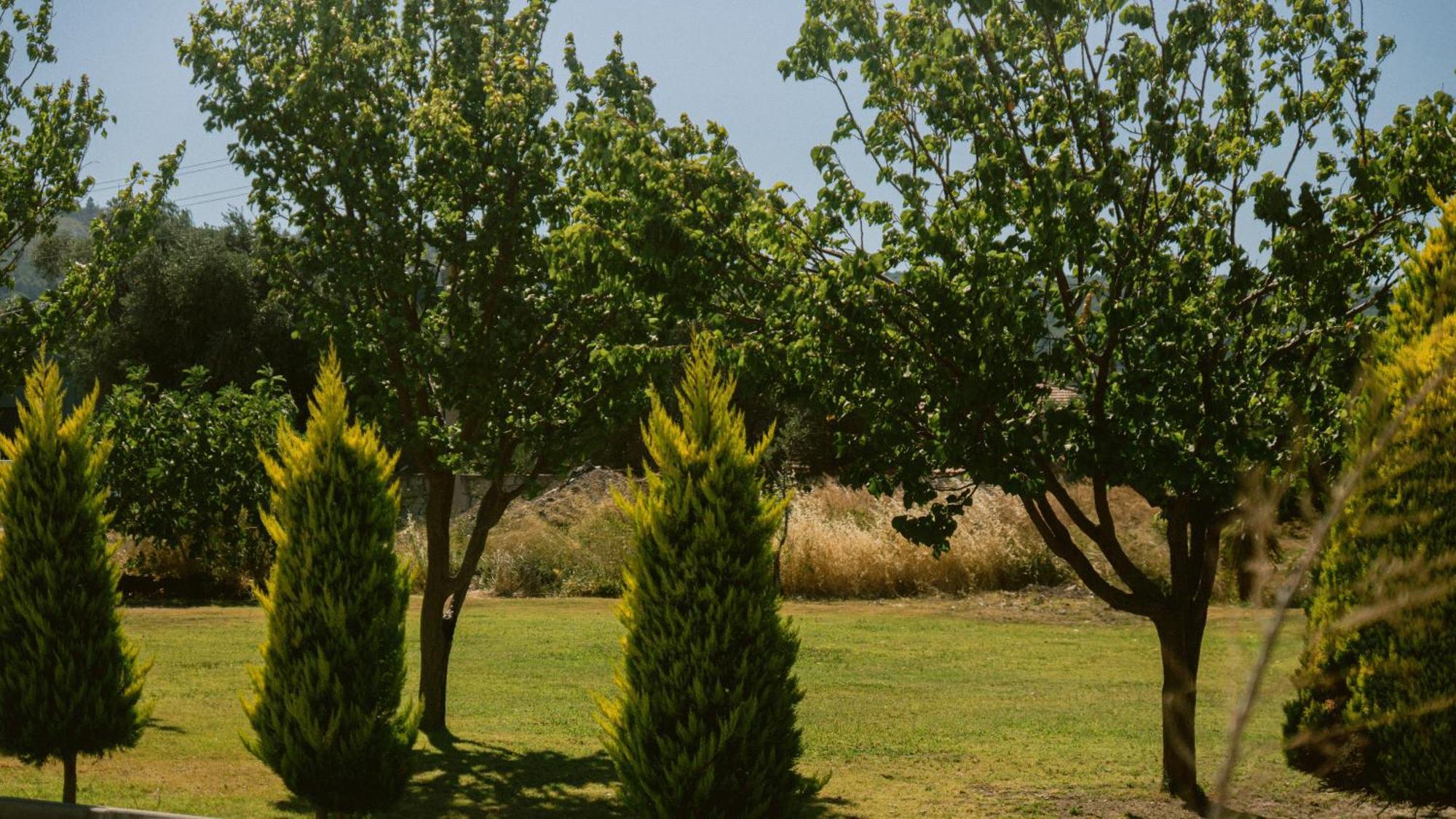 Vela Garden Resort Cesme Exterior photo
